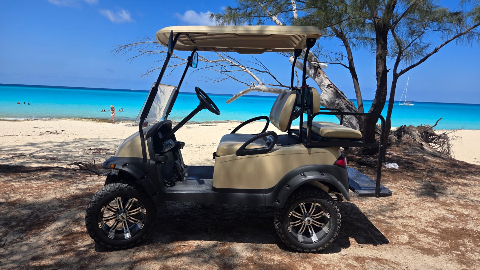 Golf-Cart-Rental